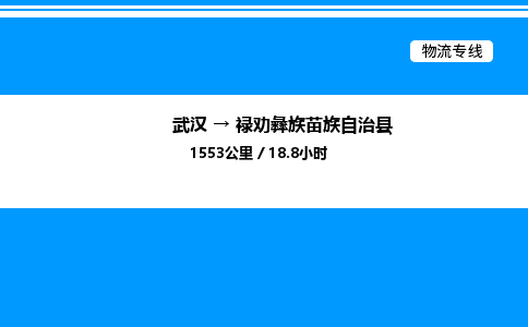 武漢到祿勸縣物流專(zhuān)線(xiàn)-武漢至祿勸縣貨運(yùn)公司