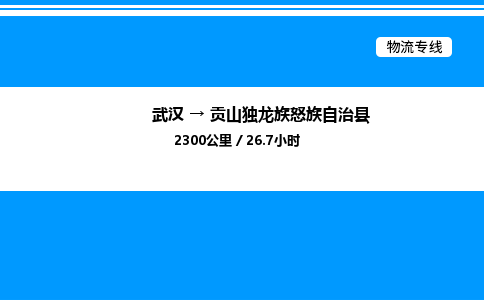 武漢到貢山縣物流專(zhuān)線(xiàn)-武漢至貢山縣貨運(yùn)公司