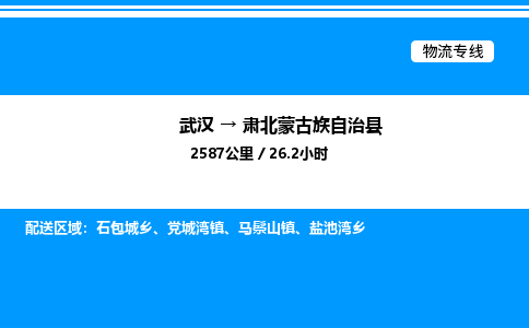 武漢到肅北縣物流專(zhuān)線-武漢至肅北縣貨運(yùn)公司